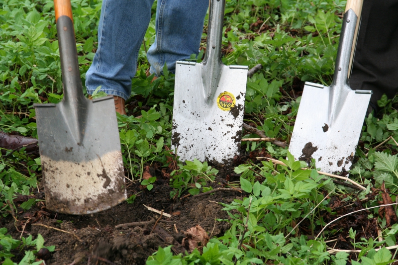 pepiniere-MONTAUROUX-min_work-lawn-flower-tool-green-backyard-1103633-pxhere.com